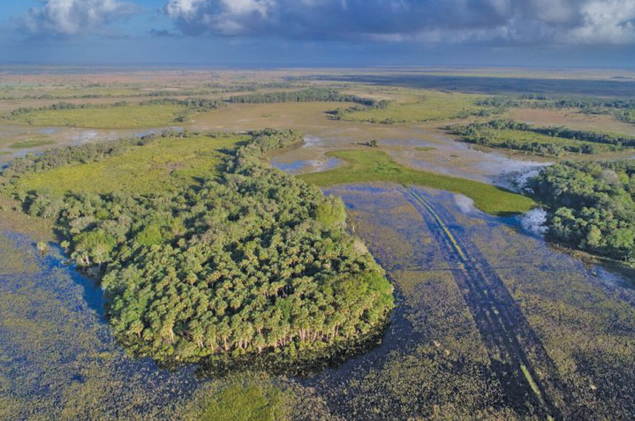 Located in the Northern Everglades, Role Tran is directly adjacent to the vast Kissimmee Prairie Preserve State Park, acting as an additional linkage to creating a strong and functional Florida Wildlife Corridor that makes up more than 200,000 acres of landscape-sized protection area.